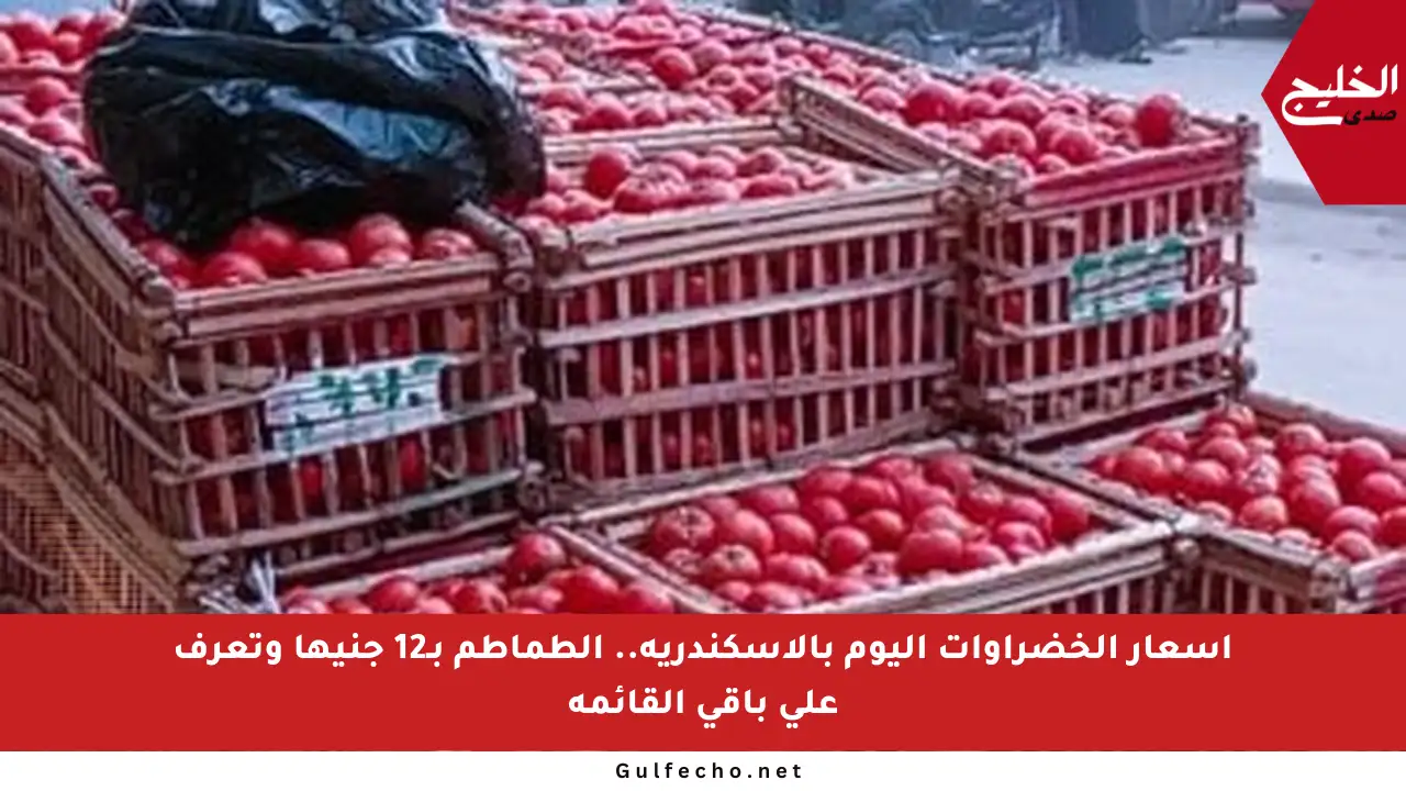 أسعار الخضراوات اليوم بالإسكندرية.. الطماطم بـ12 جنيها وتعرف على باقي القائمة